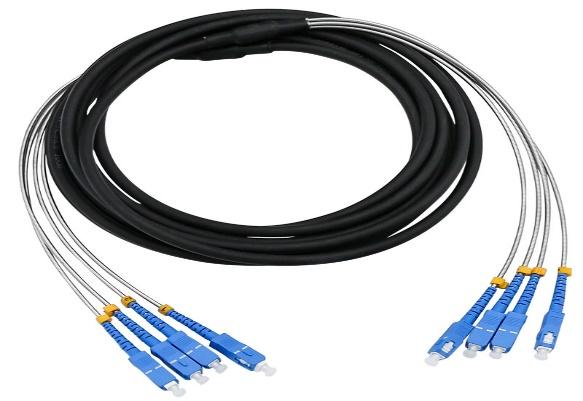 Single-mode Fiber Assembly